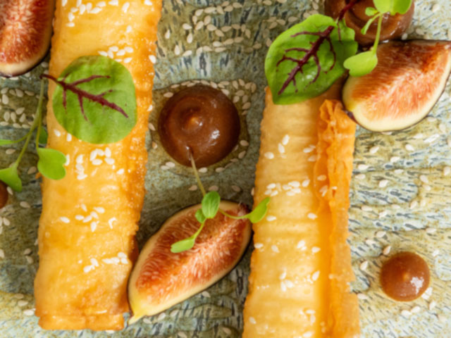 salmon-1